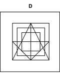University CAT4 Test for Year 7 (Level D) Cognitive Ability Test AU-NRS-CBT-CTFY7-1699326863379 1763321724221-28129 University CAT4 Test for Year 7 (Level D) Cognitive Ability Test AU-NRS-CBT-CTFY7-1699326863379 1763321724221-28129