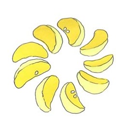 School CogAT Practice Test for 1st Grade Admission Test AU-SCH-DMS-CPTFS-1699326854457 1760127093557-9987