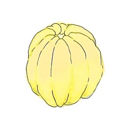 School CogAT (Cognitive Abilities Test) Educational Test CA-SCH-DCT-CCBT-1694156934238 1760127093554-13585