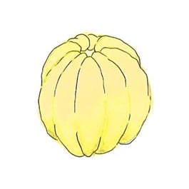 School CogAT Kindergarden Practice Test Admission Test CA-SCH-DMS-CKPT-1742206974891 1760127093554-13585