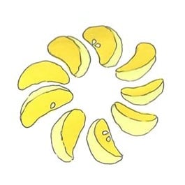 School CogAT Kindergarden Practice Test Admission Test CA-SCH-DMS-CKPT-1742206974891 1760127093557-9987