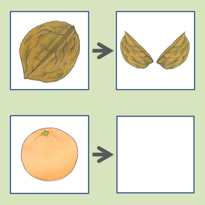 School CogAT Practice Test for 1st Grade Admission Test CA-SCH-DMS-CPTFS-1698471426013 1760127093553-33965