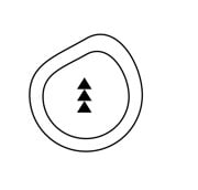 School CAT4 Test Practice for Year 2 and 3 (Level X and Y) Admission Test CA-SCH-DMS-CTPFY-1742206974846 1763292176790-53471