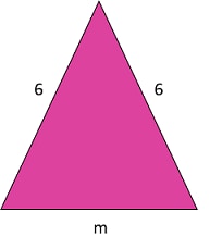 School STAAR Practice Test For Grade 8 Assessment Test CA-SCH-SSS-SPTFG-1742206975107 1780483328967-36324