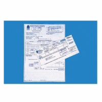 Carnet Test AM Test de Conducir ES-CRN-TDC-TSTM-1659101271523 test-am-q-9