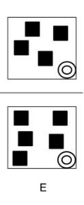 School UKISET – 11 PLUS Practice Test Admission Practice Test GB-SCH-DPT-K11PP-1681753801743 spatial-reasoning-tests-q2e