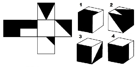 Test Psicoattitudinali Critical Reasoning Test Selezione del Personale IT-TST-SDP-CRT-1682420617904 4080552004