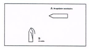 Licença Carta de Marinheiro Náutica PT-LCN-CDM-1626285259432 carta-de-marinheiro-q2