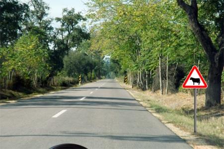 Licença Categoria A Condução PT-LCN-CTGR-1626285259407 1944155117 Licença Categoria A Condução PT-LCN-CTGR-1626285259407 1944155117