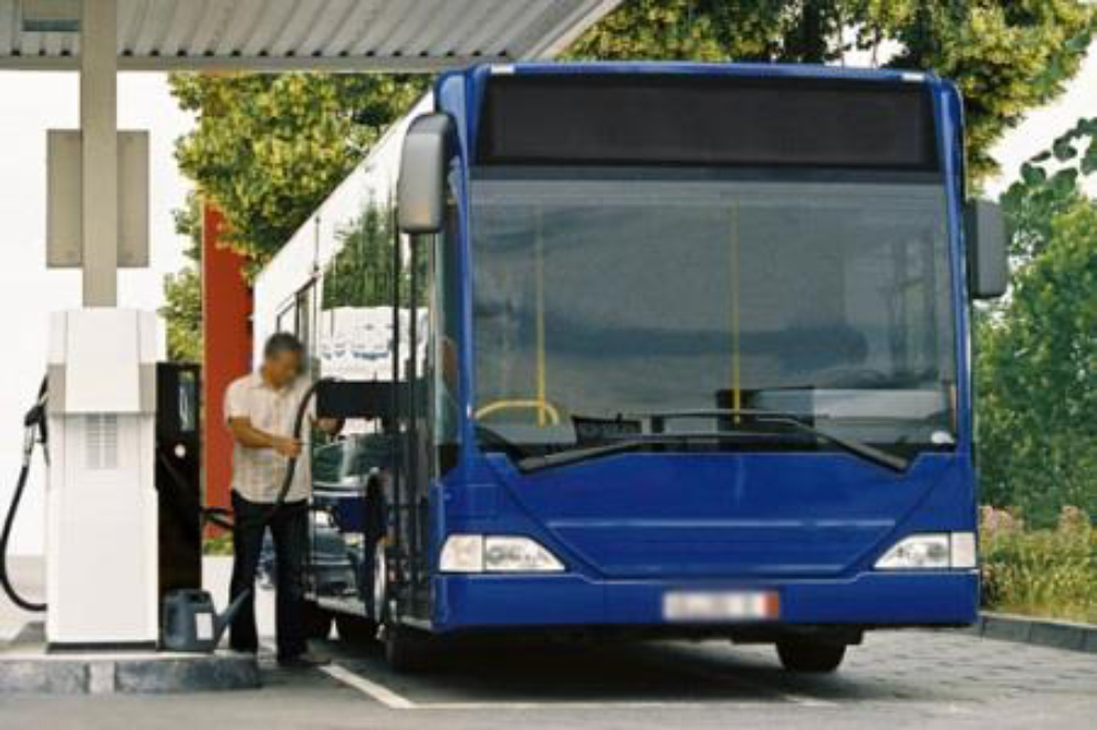 Licença Categoria D Condução PT-LCN-CTGRD-1626285259427 900311623 Licença Categoria D Condução PT-LCN-CTGRD-1626285259427 900311623