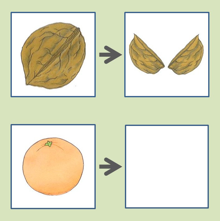 Aptitude Test CogAT 1st Grade Practice Test Cognitive Ability Test US-PTT-CBT-CSGPT-1742207025088 1760127093553-33965