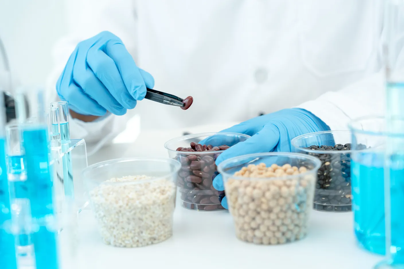 Food safety assessment answers: Essential guidelines for Australian food handling and safety compliance