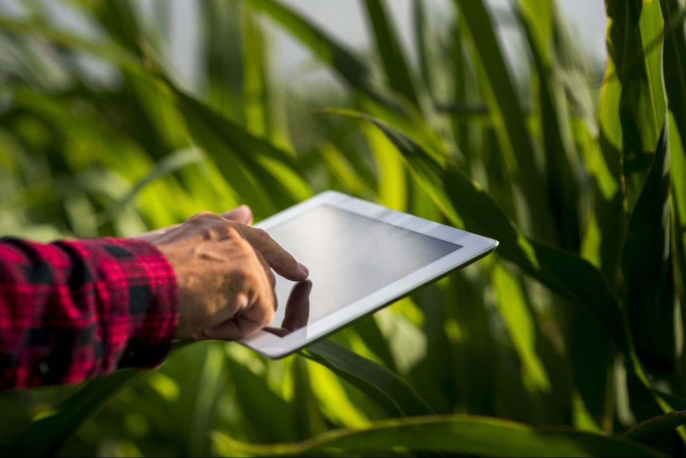 Agricultural Equipment Technician Exam: Tips to ace it and boost your career in Canada Agricultural Equipment Technician Exam: Tips to ace it and boost your career in Canada