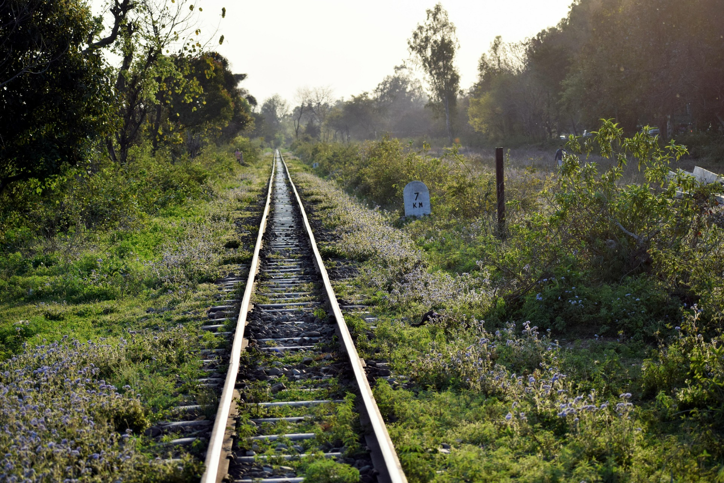 Supera l'esame assistente lavori ferrovie seguendo il test con simulazione e preparati con le materie ufficiali dell'esame Supera l'esame assistente lavori ferrovie seguendo il test con simulazione e preparati con le materie ufficiali dell'esame