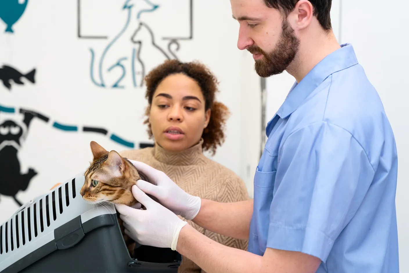 Test Professioni Sanitarie ed. 2022/2023: Scopri come studiare per l'esame e preparati al meglio per il tuo futuro Test Professioni Sanitarie ed. 2022/2023: Scopri come studiare per l'esame e preparati al meglio per il tuo futuro