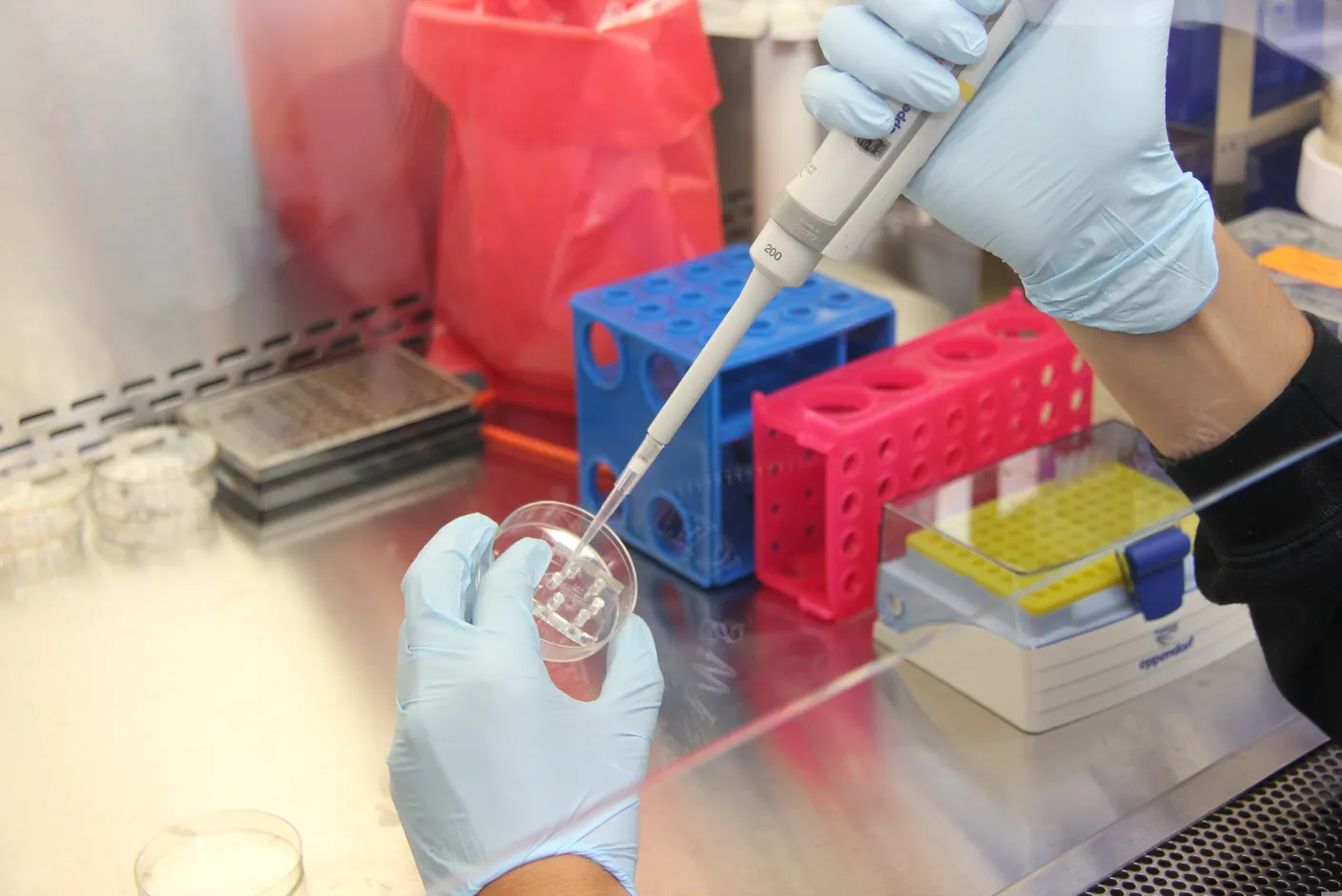 Walmart Food Safety Exam tips you can use to pass the test easily in the United States Walmart Food Safety Exam tips you can use to pass the test easily in the United States